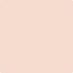 COLOR MATTER PAINT DOTS - PINK (MATTE) in pink