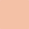 Benjamin Moore's paint color 067 Delray Peach from Cincinnati Color Company.