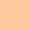 Benjamin Moore's paint color 137 Peach Pudding from Cincinnati Color Company.