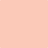 Benjamin Moore's paint color 2169-50 Malibu Peach from Cincinnati Color Company.