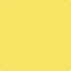 Benjamin Moore's paint color 335 Delightful Yellow from Cincinnati Color Company.