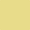 Benjamin Moore's paint color 369 Mulholland Yellow from Cincinnati Color Company.