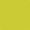 Benjamin Moore's paint color 399 Exotic Lime from Cincinnati Color Company.