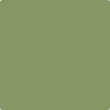 Benjamin Moore's paint color 433 Forest Hills Green from Cincinnati Color Company.