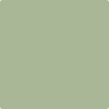 Benjamin Moore's paint color 439 Palisades Park from Cincinnati Color Company.