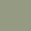 Benjamin Moore's paint color 474 Mistletoe from Cincinnati Color Company.