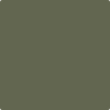 Benjamin Moore's paint color 476 Jade Romanesque from Cincinnati Color Company.