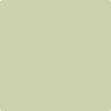 Benjamin Moore's paint color 500 Maidenhair Fern from Cincinnati Color Company.