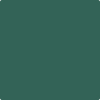 Benjamin Moore's paint color 651 Brazilian Rainforest from Cincinnati Color Company.