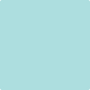 Benjamin Moore's paint color 730 San Clemente Teal from Cincinnati Color Company.