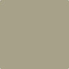 Benjamin Moore's paint color CC-602 Stanley Park from Cincinnati Color Company.